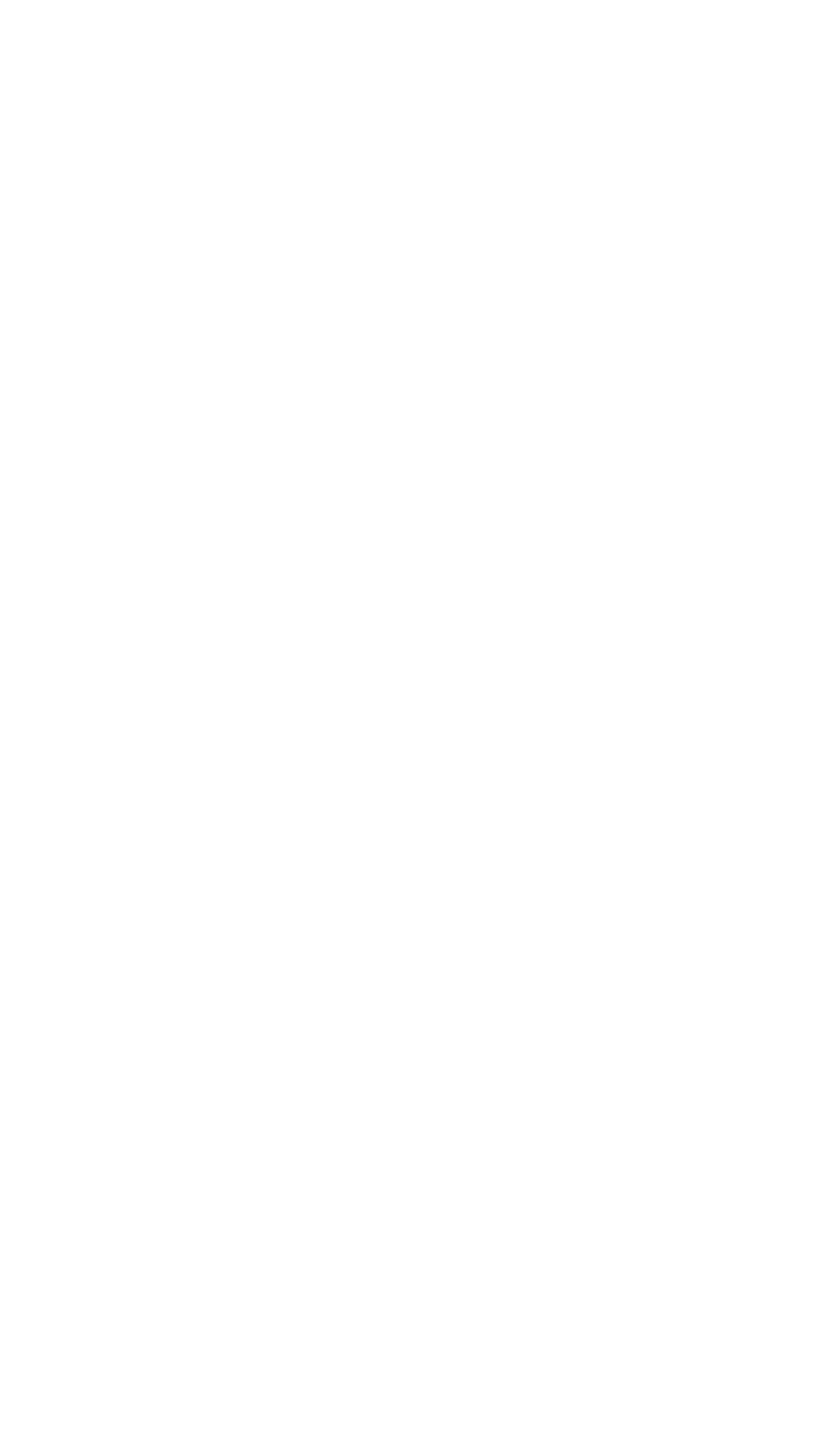 Kersten Droß Steinmetz-Schüssler